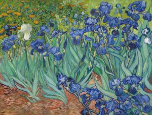 Imagem da pintura de Van Gogh intituada "Irises" que retrata flores e a beldade da natureza